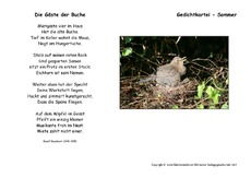 Die-Gaeste-der-Buche-Baumbach.pdf